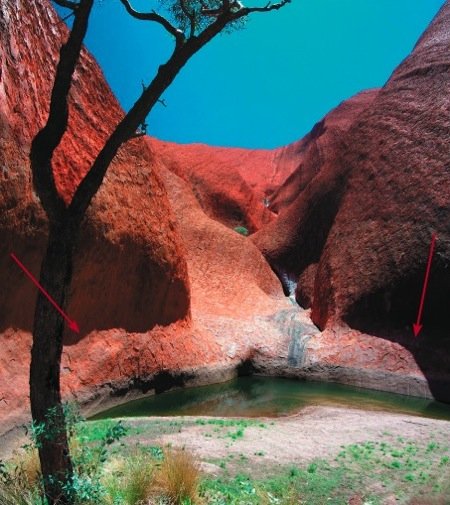 Uluru fig2