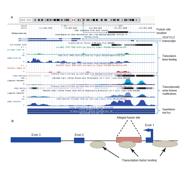 UCSC Genome Browser Data