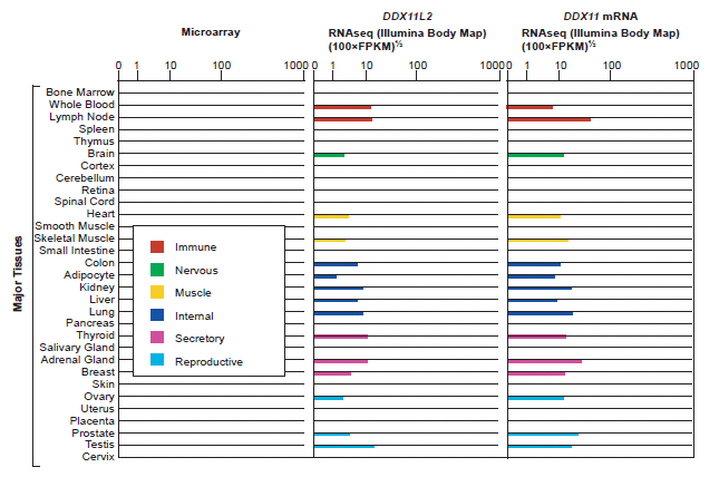 Gene Expression Listing