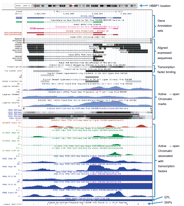 UCSC Genome Browser Data