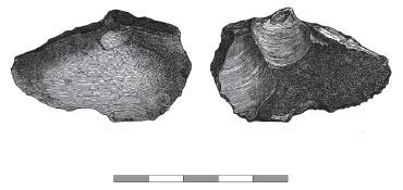 Fig. 14