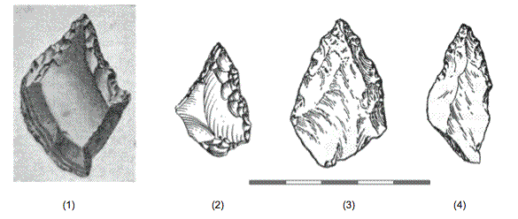 Fig. 21