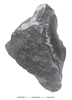 Fig. 23