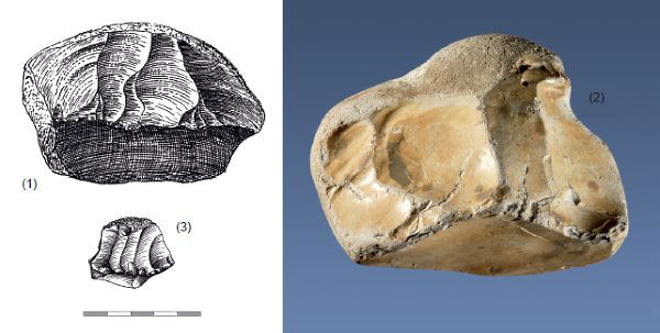 Fig. 36