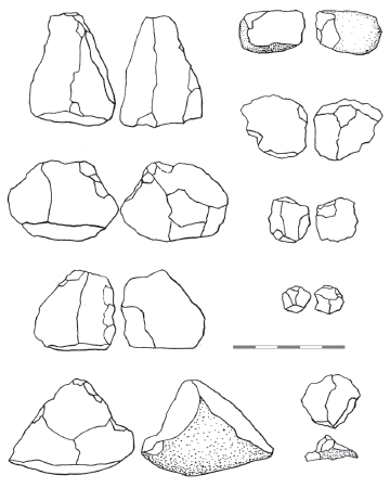 Fig. 7