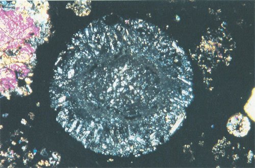Anorthite-Forsterite-Spinel Chondrule
