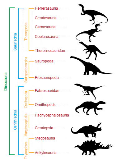 Secular Dinosaur Classification