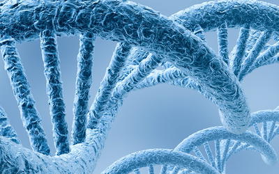 The Absence of Universally Conserved Protein-Coding Genes