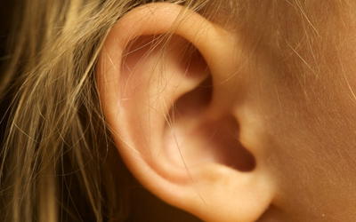 Cartilage Evolution Baffles Evolutionists