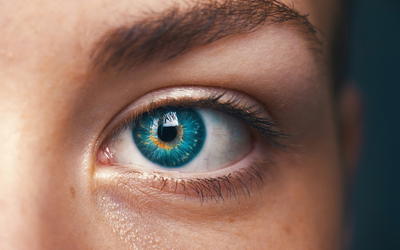 Evolution Fails to Explain the Vertebrate Camera-Type Eye
