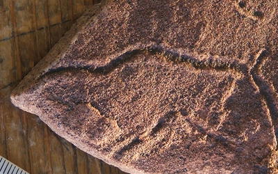 Ichnofossils Refute Hydroplate Theory’s Liquefaction Submodel