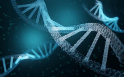 Facts Cannot be Ignored When Considering the Origin of Life #3: Necessity of Matching the Coding and the Decoding Systems