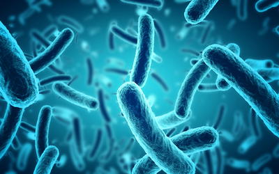 Microbes and the Days of Creation