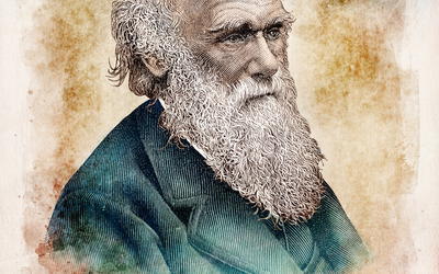 Response to “No Replacement of Darwin: A Review of Replacing Darwin—The New Origin of Species”