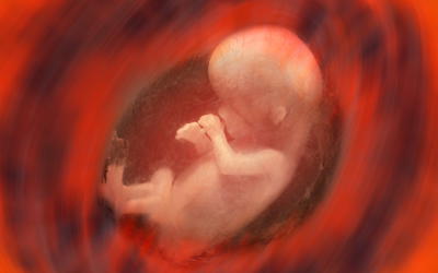 Abortion: A Biblical, Biological, and Philosophical Refutation