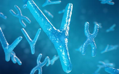 Testing the Predictions of the Young-Earth Y Chromosome Molecular Clock: Population Growth Curves Confirm the Recent Origin of Human Y Chromosome Differences