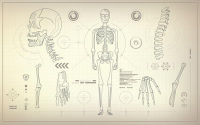 The Failed Attempt to Prove Jewish Inferiority by a Skeleton Collection