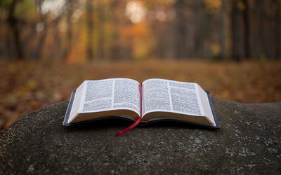 Bible-Based Knowledge (Science)