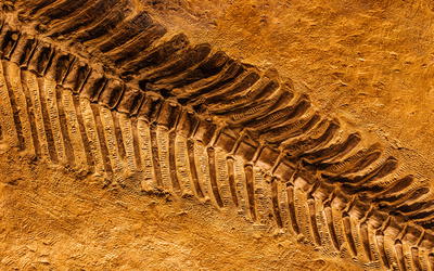 Biostratigraphy Is Inevitable