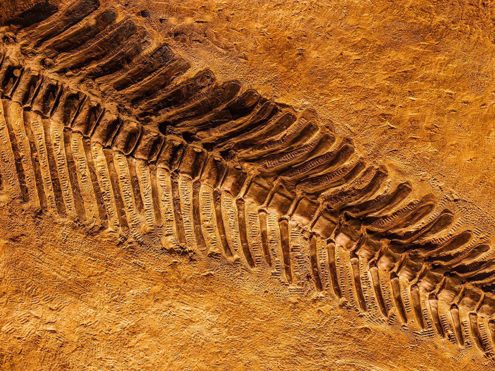 Biostratigraphy is Inevitable