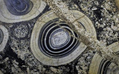 Implications of Polonium Radiohalos in Nested Plutons of the Tuolumne Intrusive Suite, Yosemite, California