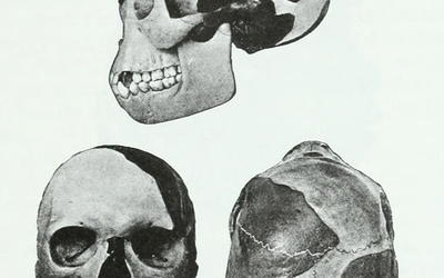 Fraud and Forgery in Paleoanthropology