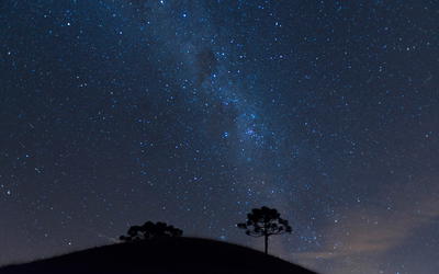 Anisotropic Synchrony Convention—A Solution to the Distant Starlight Problem