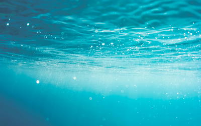 Is the Sodium Chloride Level in the Oceans Evidence for Abiogenesis?