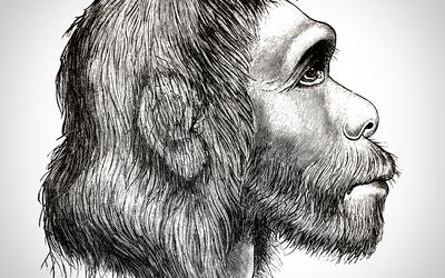Those Enigmatic Neanderthals
