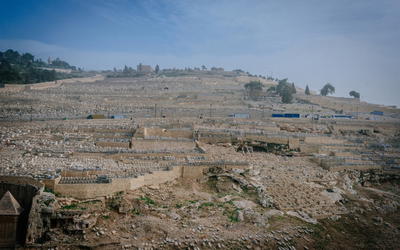 The Geology of Israel within the Biblical Creation-Flood Framework of History: 2. The Flood Rocks