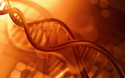 Toward an Accurate Model of Variation in DNA