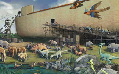 Determining the Ark Kinds