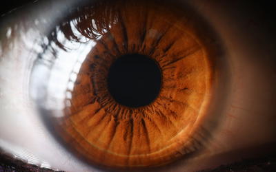 The Human Retina Shows Evidence of Good Design