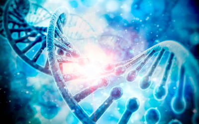 An Evaluation of the Myth That “Nothing in Biology Makes  Sense Except in the Light of Evolution”