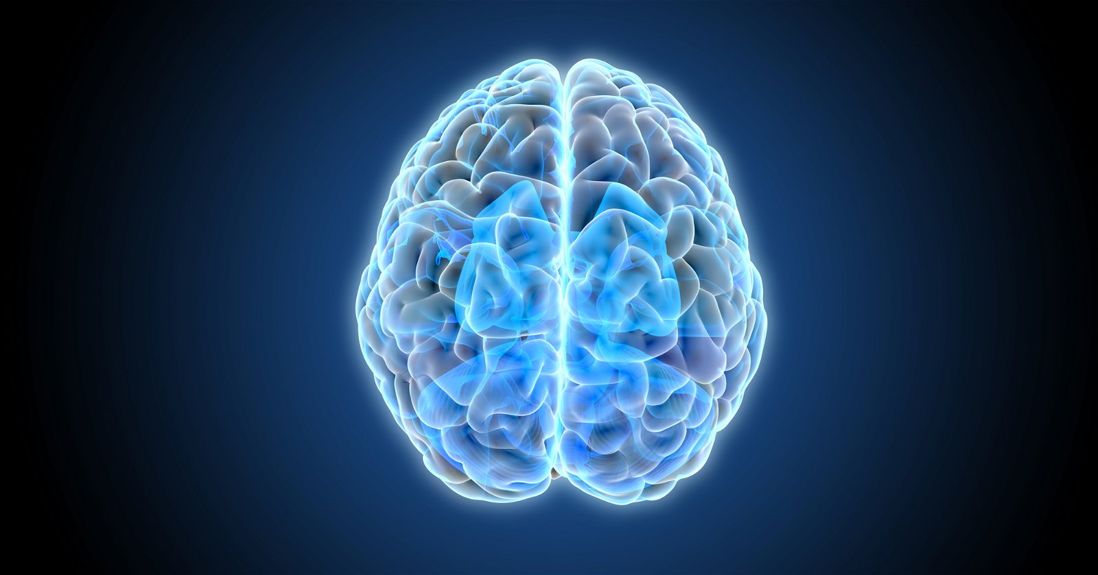 Brain 89. Brain Hemisphere 3d illustration. Left Hemisphere of the Brain 3d illustration. One Hemisphere of the Brain 3d illustration.