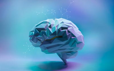 What Makes Us Human, and Why It Is Not the Brain: A Creationist Defense of the Soul: Discussion