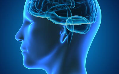 What Makes Us Human, and Why It Is Not the Brain: A Creationist Defense of the Soul: Reply