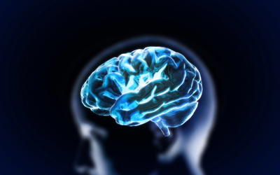 Christians, the Brain, and Person: Conceptual Confusion, Unintelligibility, and Implications