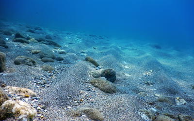 Circular Reasoning in the Dating of Deep Seafloor Sediments and Ice Cores: The Orbital Tuning Method