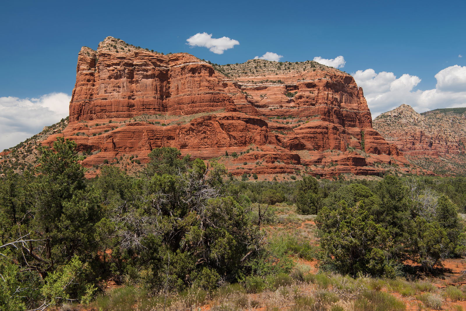 Petrology of Coconino Sandstone (Permian) Arizona, USA | Answers 