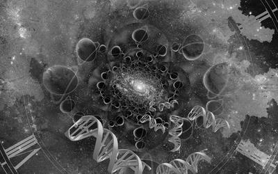 A Young-Earth Creation Human Mitochondrial DNA “Clock”: Whole Mitochondrial Genome Mutation Rate Confirms D-Loop Results