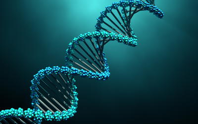 Beyond the DNA-Protein Paradox: A “Clutch” of Other Chicken-Egg Paradoxes in Cell and Molecular Biology