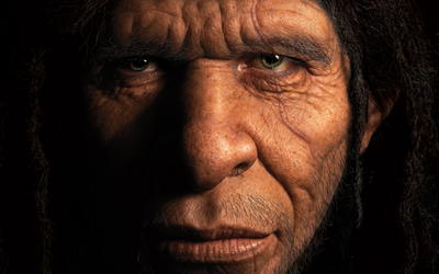 Homo naledi Probably Not Part of the Human Holobaramin Based on Baraminic Re-Analysis Including Postcranial Evidence