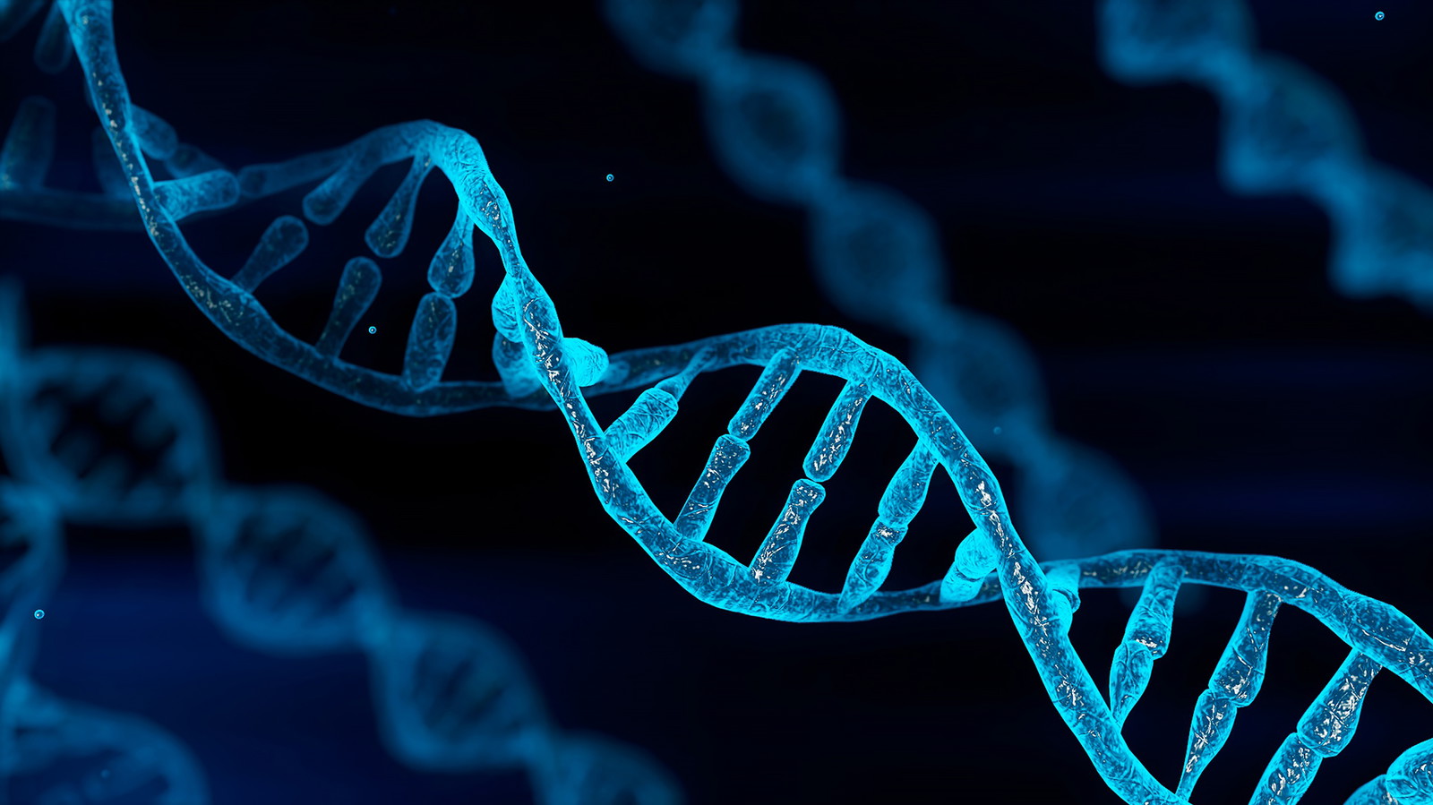 Y-Chromosome-Guided Analysis of Mitochondrial DNA Lineages in the Americas: New Evidence for a Mitochondrial DNA Root, for a Mitochondrial DNA Clock, and for at Least One Migration from Asia into the Americas in the First Millennium BC