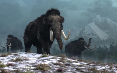 Revisiting an Iconic Argument for Milankovitch Climate Forcing: Should the “Pacemaker of the Ice Ages” Paper Be Retracted? Part 3