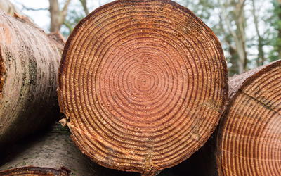 A Biblical Timescale for Radiocarbon Dating