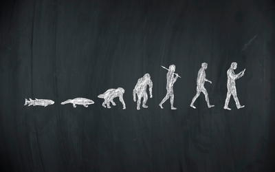 Human Evolution