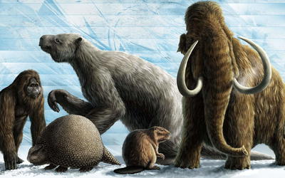 Ice Age