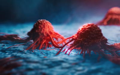 Mutations