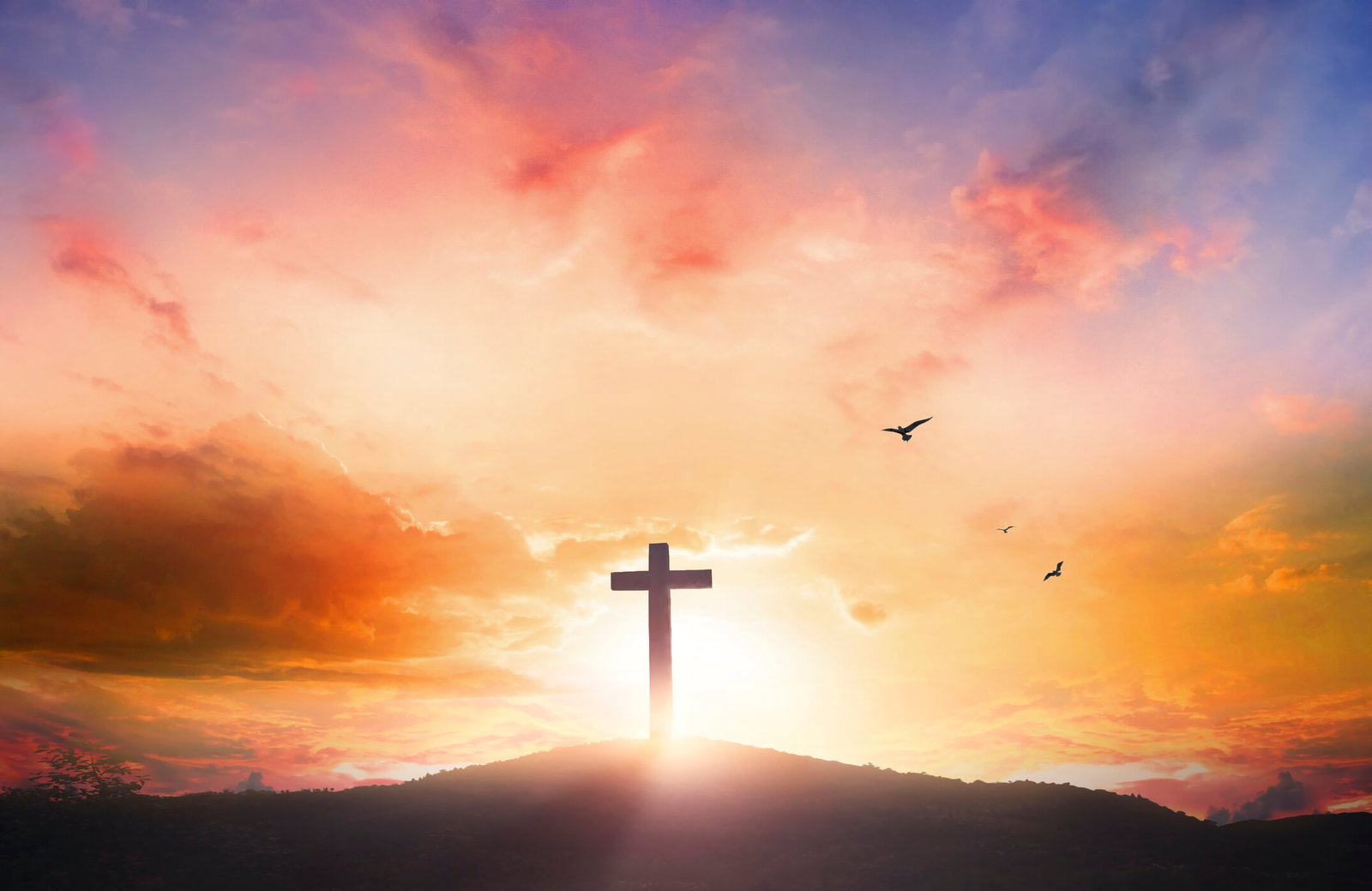 The Gospel Answers Research Journal